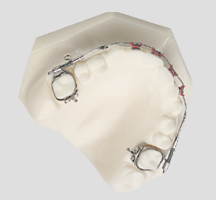 3dbimetricArch
