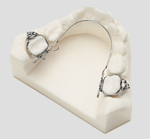 3dlingualArch