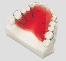 maxillary