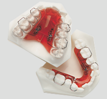 sagittalAnterior