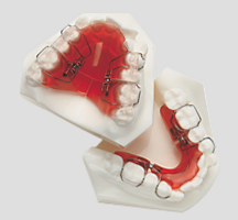 sagittalDistal
